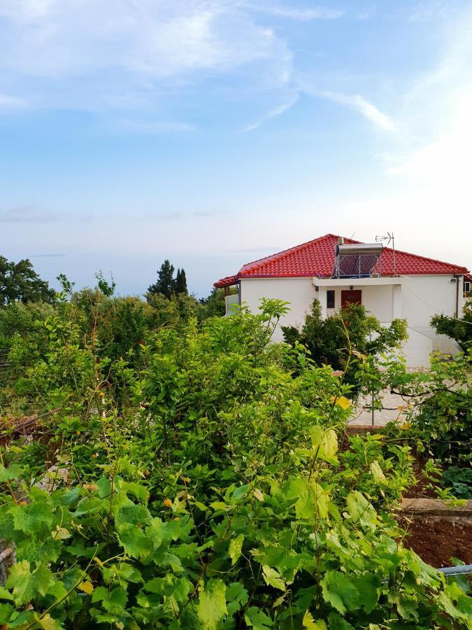Xheko Rooms Dhërmi Exterior foto